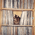 in the stacks